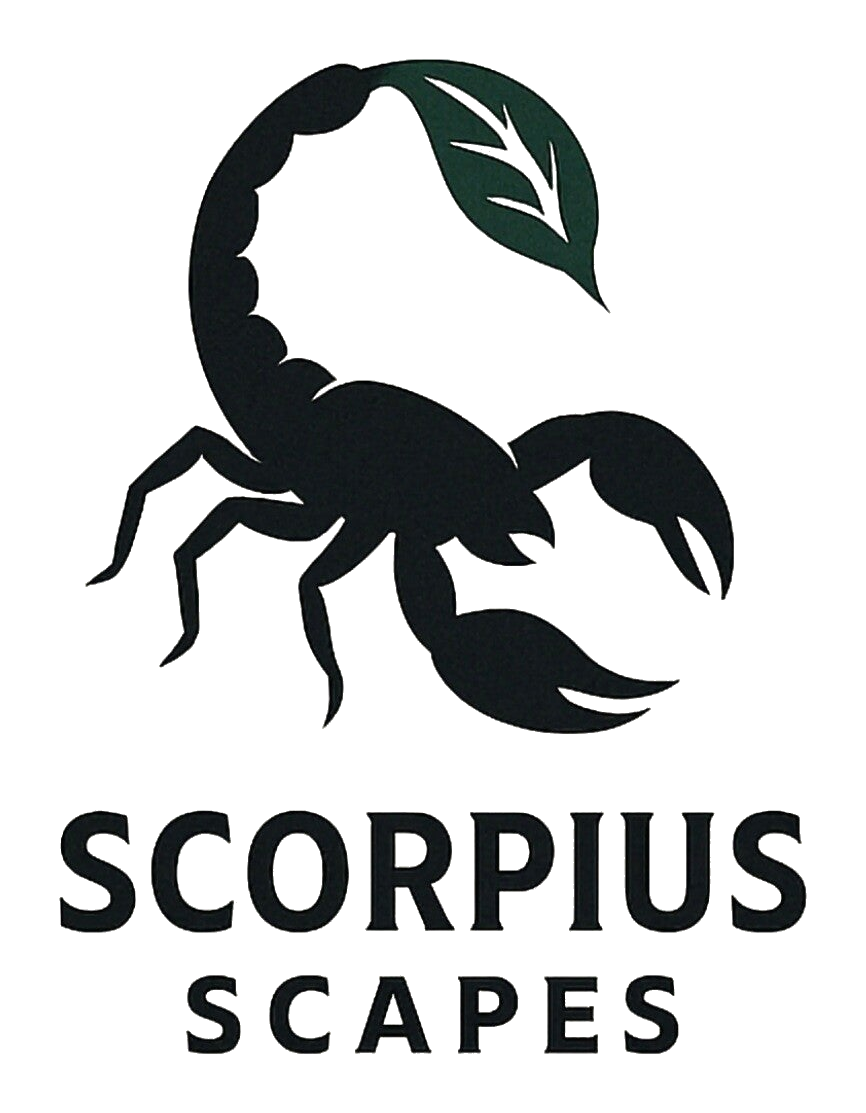 Scorpius Scapes